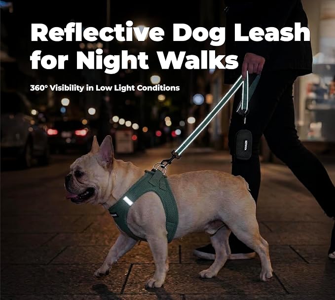 Best Pet Supplies Voyager Reflective Dog Leash or Collar with Neoprene Handle, for Small, Medium, and Large Breed Puppies, Cute and Heavy Duty for Walking, Running and Training - Moss Green (Leash), S