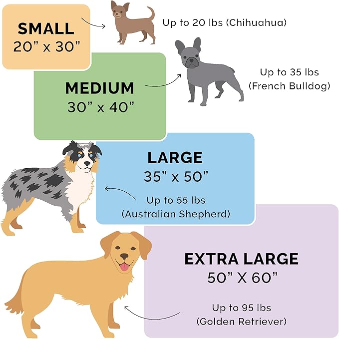 Furhaven Waterproof Throw Blanket for Dogs & Indoor Cats, Washable - Two-Tone Luxe Velvet Dog Blanket - Celadon Green, Extra Large/XL