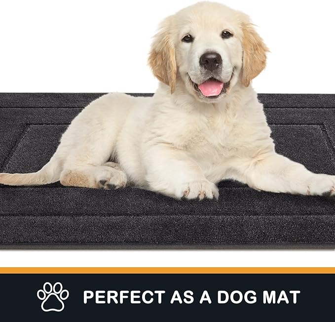 PURRUGS Dirt Trapping Door Mat 20" x 31.5", Non-Slip/Skid Machine Washable Entryway Rug, Dog Doormat, Super Absorbent Welcome Mat for Muddy Wet Shoes and Paws, Charcoal