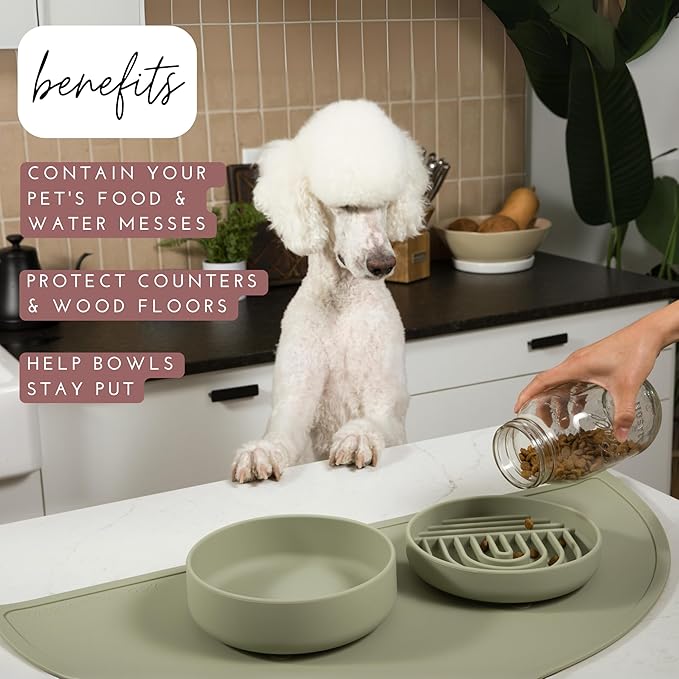 Should We Go? - Waterproof Silicone Pet Food Mat - Non-Slip, Spill-Proof Feeding Mats for Floors, Raised Edge Design, Easy-to-Clean, Rubber Mat for Dog & Cat Bowls, 28" Across x 14" Deep, Large-Blush