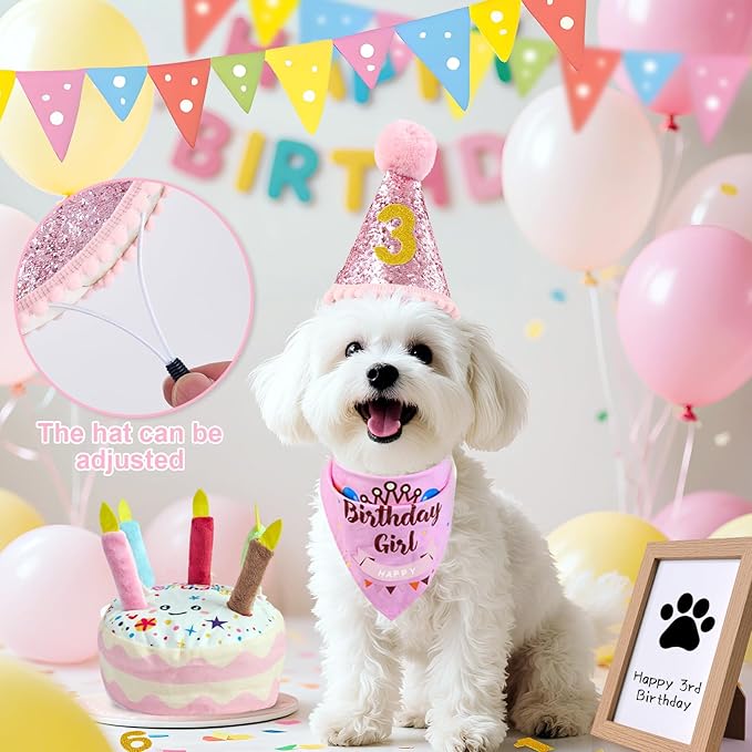 Dog Birthday Toy Set, Dog Squeaky Toys, Includes Squeaky Cake Toy, Plush Bones, Birthday Hats, Bandana, Paw Print Kit & Photo Frame. Pet Gift Supplies, Pink