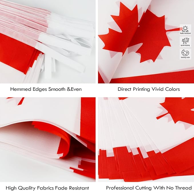 Canada String Flag Pennant Banner - 38 Flags, 42 Feet Small Mini Canadian Flags Bunting Banner for Country Decoration, School, Party, Sports Events