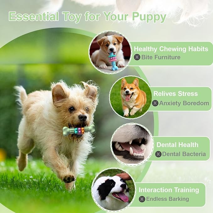 Puppy Teething Toy, Indestructible Dog Chew Toys for Aggressive Chewers, Interactive Bone Dog Toy for Small & Medium Breeds, Tough Puppy Toys to Keep Them Busy and Clean Teeth