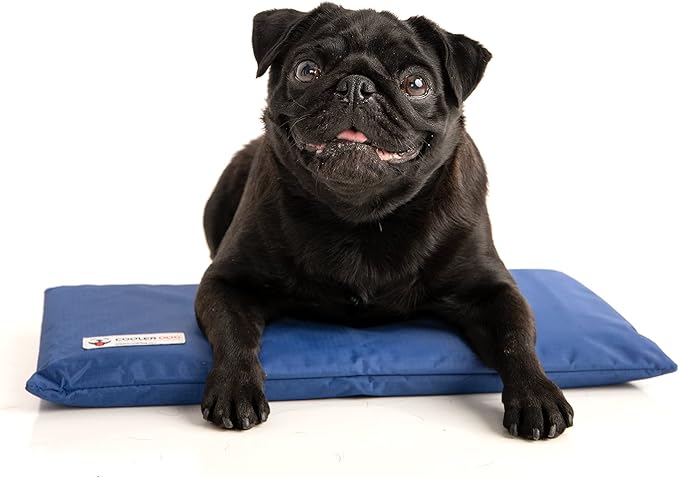 CoolerDog Dog Cooling Pad Dog Cooling Products Hydro Cooling Mat (18"x10.5") (Mini)