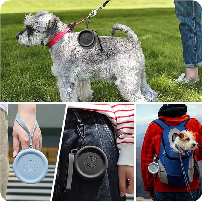 WALLFID Silicone Dog Treat Pouch Small Bag,with Pet Training Clicker,Walking Bag for Dog and Cat, Pocket Size, Easy to Clean, Odorless, Zipper Design,Moisture-Proof,Travel Walking Bag.(Dark Gray)