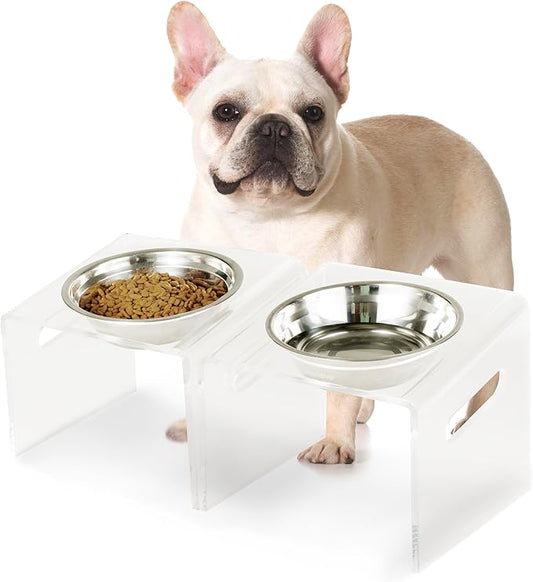 Tilted Raised Elevated Food and Water Bowls Stand for Medium or Large Dogs - Puppy's Clear Acrylic Stainless Steel Dishes Holder for Boy or Girl Pet, Modern, Durable and Easy to Clean (Large-Clear)