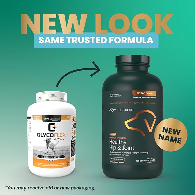 VetriScience Ultimate Strength Hip & Joint Supplement for Dogs, GlycoFlex Plus – MSM, Chondroitin & Green-Lipped Mussel Chews for Mobility, Flexibility, Comfort & Support, Chicken Flavor, 120 Cnt