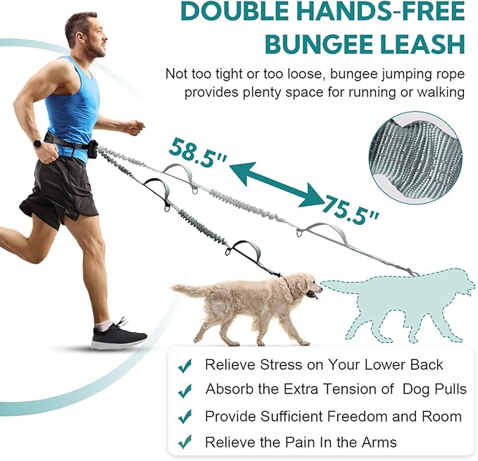 Hands Free Dog Leash with Pouch, Double Leash for Two Dogs, Retractable Bungee with Double Padded Handles, Waist for Dog Walking, Running for Dogs, Dog Walking Accessories