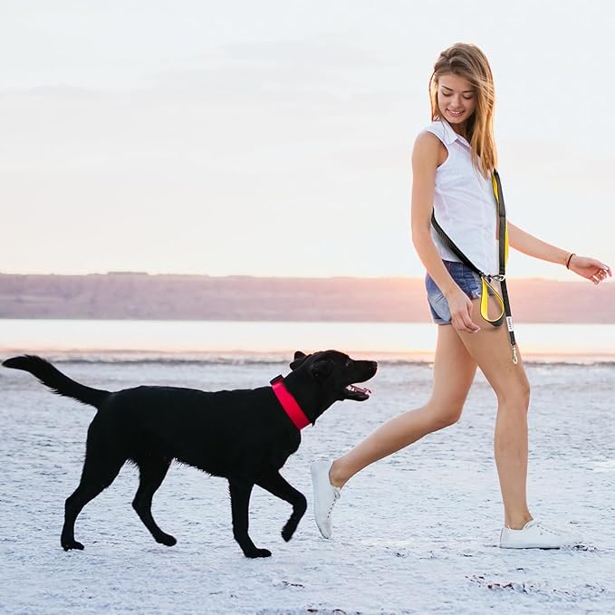 Dog Poop Bag Holder with Dispenser & Storage Pouch - Includes Adjustable Reflective Dog Leash (6FT Bungee, Padded Handles) - Durable Leash for Walking, Training & Travel (Teal)