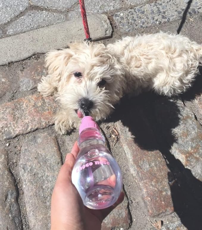 Choco Nose No-Drip Portable Travel Water Bottle for Small Dogs & Cats - Lockable Leak-Proof Design Prevents Spills in Bags & Cars, Outdoor Feeder for Puppies & Toy Breeds, 8 fl oz (C258)