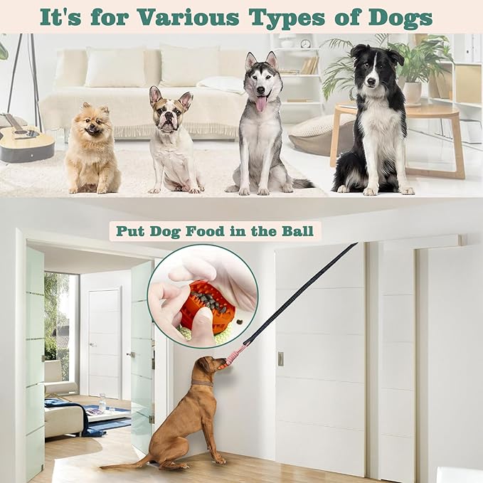 Interactive Dog Toys Tug of War Dog Toy for Small/Medium/Large Dogs,Teething Rope for Teeth Cleaning,Puzzle Ball for Chewing,Dog Bungee Tug Toy Kit, Blue