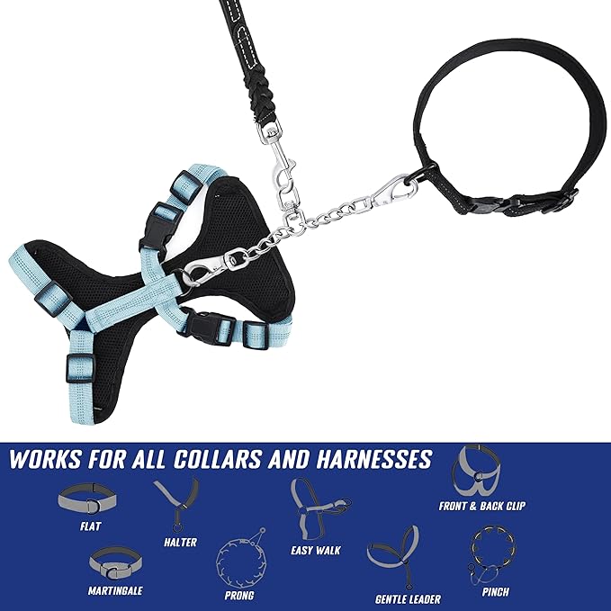 Leash Backup with Dual Clasps Prong Collar Safety Clip Stainless Steel Dog Safety Clip Collars and No Pull Harness Connectors