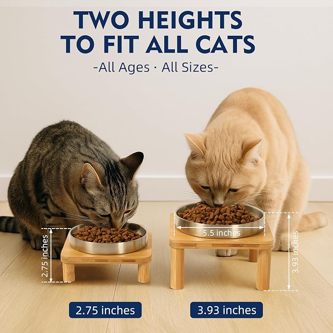 Elevated Cat Bowls for Indoor Cats – Raised Bamboo Cat Bowl Stand with 5.5 Inch Wide Stainless Steel Dishes, Pet Food Table Plate for Easy Feeding, Whisker Friendly(Silver,Set of 2)