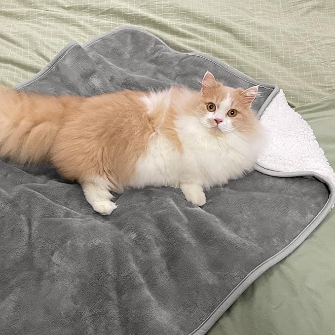 Waterproof Blanket for Bed Couch Sofa, Soft Liquid Pee Proof Pet Blanket for Dog Puppy Cat, Reversible Sherpa Fleece Furniture Protector (Grey, 30x40 inches)