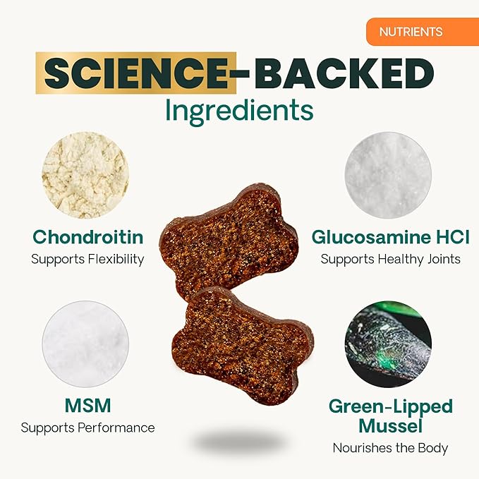 VetriScience Ultimate Strength Hip & Joint Supplement for Dogs, GlycoFlex Plus – MSM, Chondroitin & Green-Lipped Mussel Chews for Mobility, Flexibility, Comfort & Support, Duck Flavor, 120 Cnt
