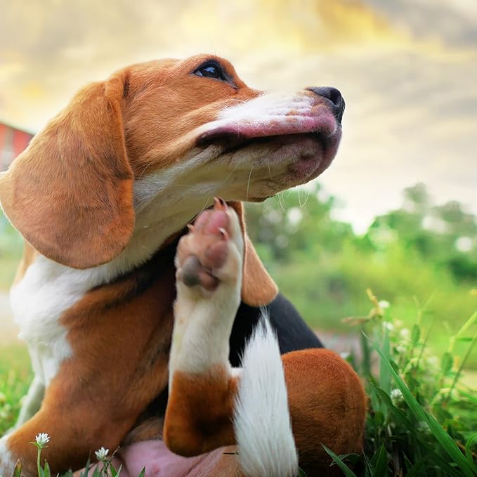 Pet MD Topical Wipes for Dogs and Cats - 100 Count