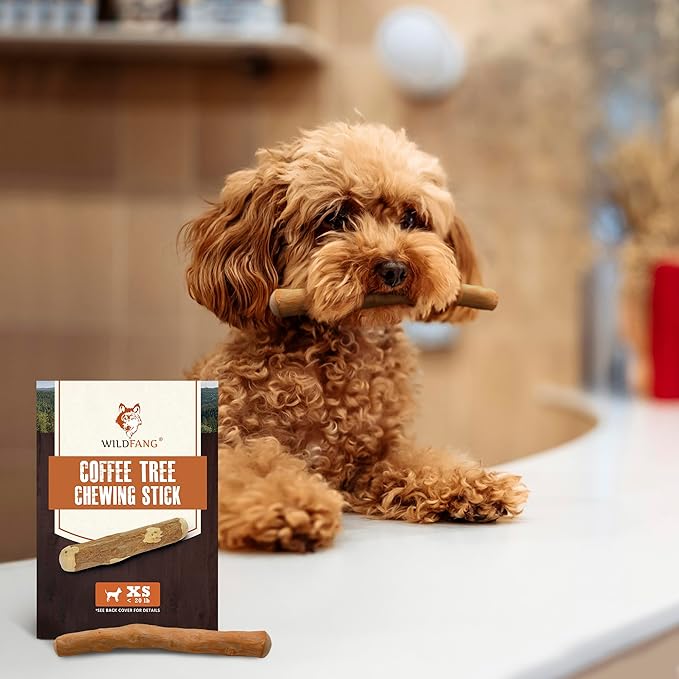 Wildfang® Coffee Wood Dog Chew, XS - Tough Chew Toys for Aggressive Chewers, Dog Teething Toys for Puppies, Training for Chewing Muscles, Coffee Tree Sticks for X-Small Dogs (Under 22 lbs)