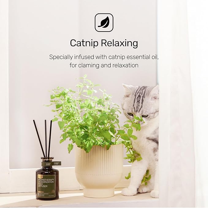 Reed Diffuser for Pet Odor Elimination, Lily of The Valley, Non-Toxic & Pet-Friendly Air Freshening, 6 Oz