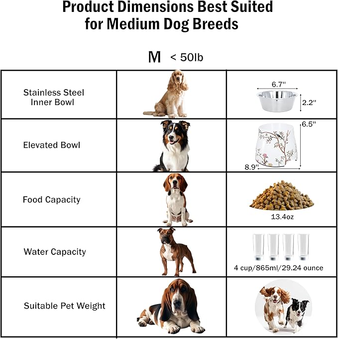 Dog Bowl - 7inch Height Non-Slip Ideal for Medium Dogs it has Food-Grade 304 Stainless Steel Bowls for Food/Water Beautiful Design and high Capacity Large/3.8 Cups(860ml) Bowl Feeder (White)