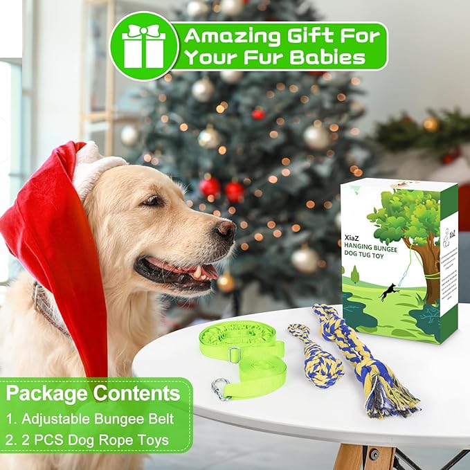 XiaZ Tug of War Dog Toy, Interactive Dogs Toy Bungee Hanging Tether with 2 Chew Rope Toys, Heavy Duty Puppy Outdoor Activity Aggressive Chewers Best Small to Large Boredom Exercise and Play (Green)