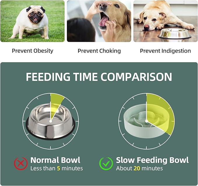 Ceramic 0.9 Cup Raised Dog Slow Feeder Set, Elevated Bowl with Wooden Stand for Small Dog and Cat, 6.1inch Puzzle Slow Dog Food Dish, Anti-Gulping(Light Green, Single Bowl+ Stand)