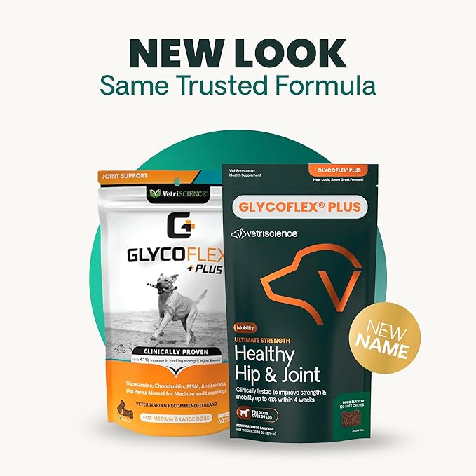 VetriScience Ultimate Strength Hip & Joint Supplement for Dogs, GlycoFlex Plus – MSM, Chondroitin & Green-Lipped Mussel Chews for Mobility, Flexibility, Comfort & Support, Duck Flavor, 60 Cnt