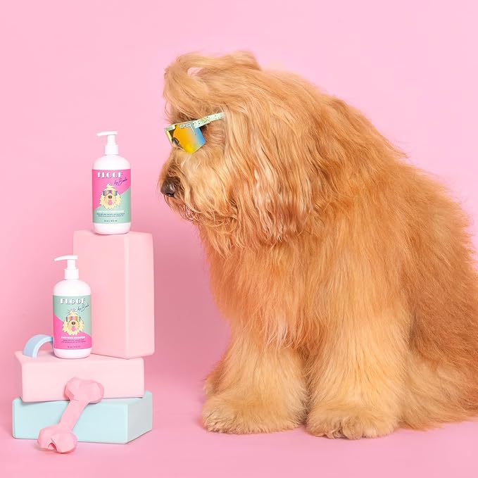 Floof by Brodie - Everydog Bathtime Duo - Gentle Dog Shampoo and Conditioner for All Coat Types - 16 oz - Pack of Two