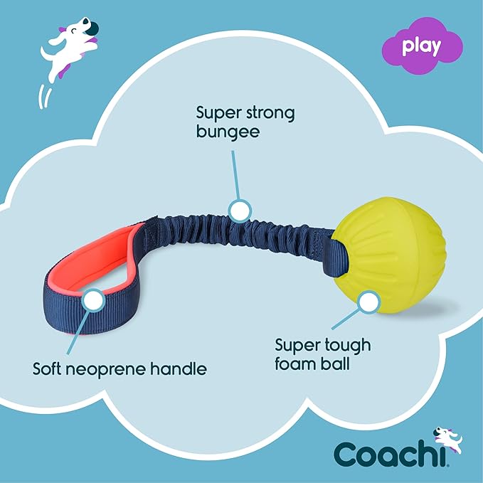 Coachi Tuggi Ball - Interactive Dog Toy for Tug of War & Play. Strong & Comfortable, Stretchy Bungee Handle with Foam Ball, Ideal for Agility and Reward Training, Interrupting Biting & Chewing