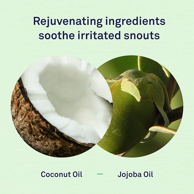 Petpost | Snout Balm for Dogs - Nourishing Snout Soother Balm Heals Dry Dog Noses with Moisturizing Ingredients - Organic Coconut Oil, Jojoba Oil, and Shea Butter 0.64 oz.