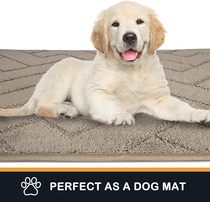 PURRUGS Dirt Trapping Door Mat 32" x 47", Non-Slip Machine Washable Entry Rug, Dog Doormat, Indoor Front Door Mat, Super Absorbent Entryway Rug for Muddy Shoes & Paws, Taupe