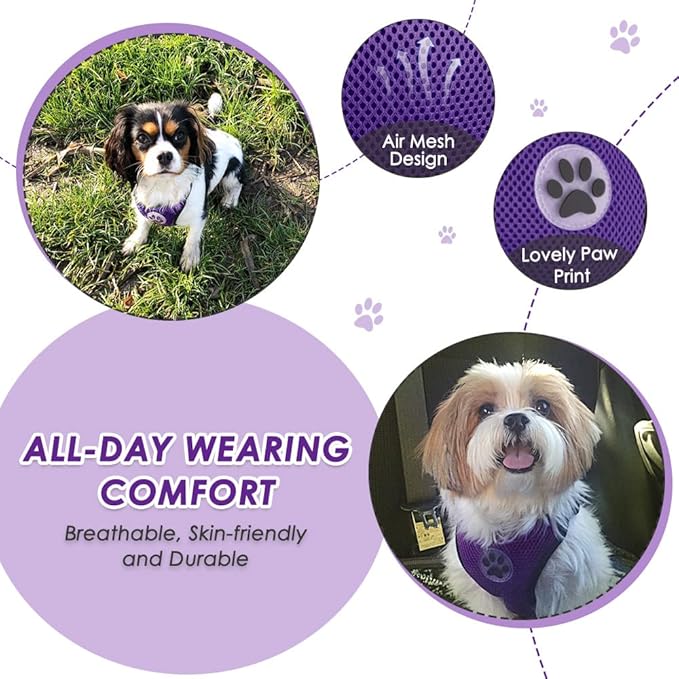 Lukovee Dog Seat Belt - Adjustable Dog Car Harness for Large, Medium & Small Dogs, Soft Padded & Breathable Mesh Dog Seatbelt with Car Vehicle Connector Strap (Purple Double Clip, Medium)