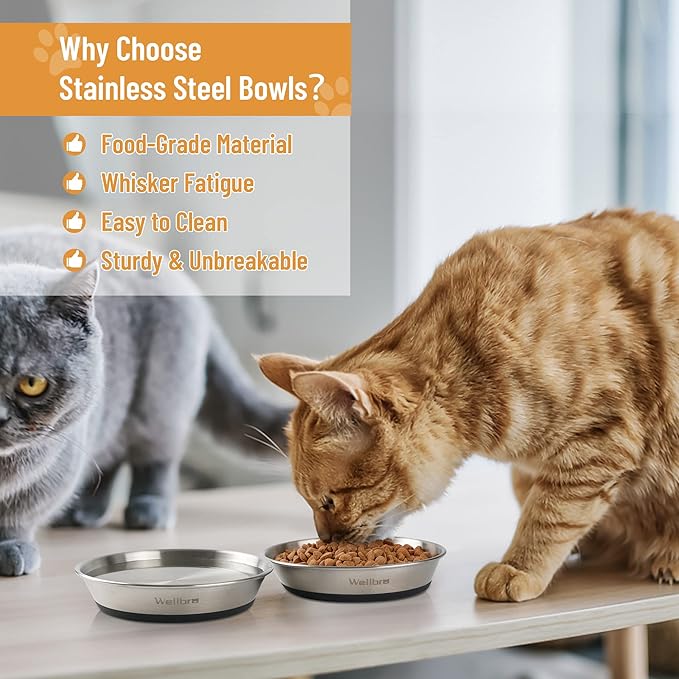 Wellbro Cat Bowls, 4 Pcs Stainless Steel Pets Bowls for Food and Water, Whisker Fatigue Shallow Non-Slip Cat Dishes Plates for Small Dog Puppies Cats