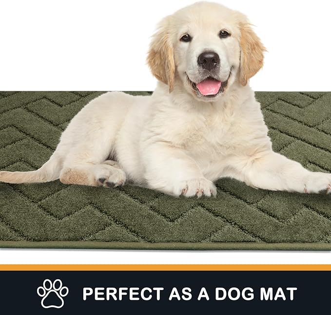 PURRUGS Dirt Trapping Door Mat 20" x 31.5", Non-Slip Machine Washable Entry Rug, Dog Doormat, Indoor Front Door Mat, Super Absorbent Entryway Rug for Muddy Shoes & Paws, Sage Green