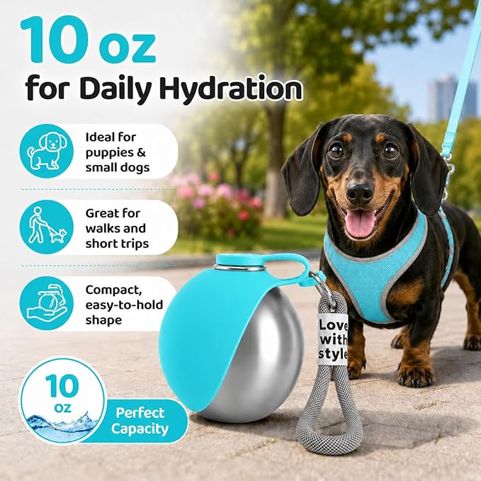 Portable Dog Water Bottle, 10 oz Stainless Steel Pet Travel Dispenser with Silicone Foldable Bowl, Leak Proof Tumbler, Dog Walking Accessories for Hiking and Small Pets (Blue)