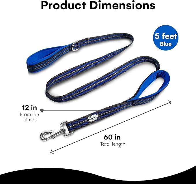 Black Rhino Heavy Duty Dog Leash for Medium and Large Dogs - 5 ft Long Double Handle Dog Leash with Padded Traffic Control Handles - Reflective, Durable, and Weather Resistant (Blue and Gray)