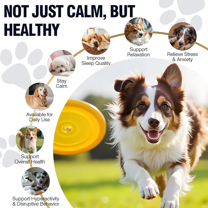 Calming Chews for Dogs 200ct-Chicken Hemp Dog Calming Chews - Anxiety and Stress Relief Treats Melatonin Bites Sleep Aid for Small/Medium/Large Dogs Calm Dog - Separation, Fireworks, Barking, Thunder