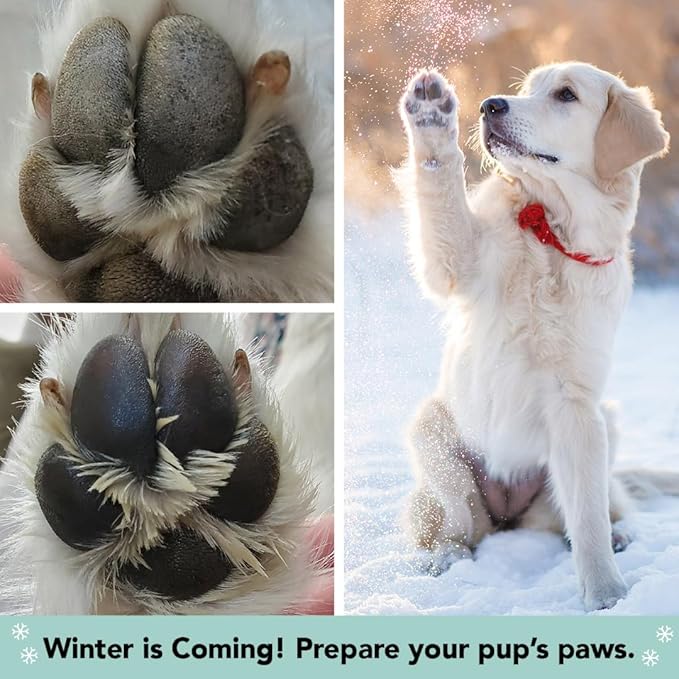 Natural Dog Company PawTection Balm 2 oz Stick – Dog Paw Protection Wax with Shea Butter & Calendula – Shields Paws from Snow, Ice, Salt, Hot Pavement & Rough Terrain – Lick-Safe, Vegan