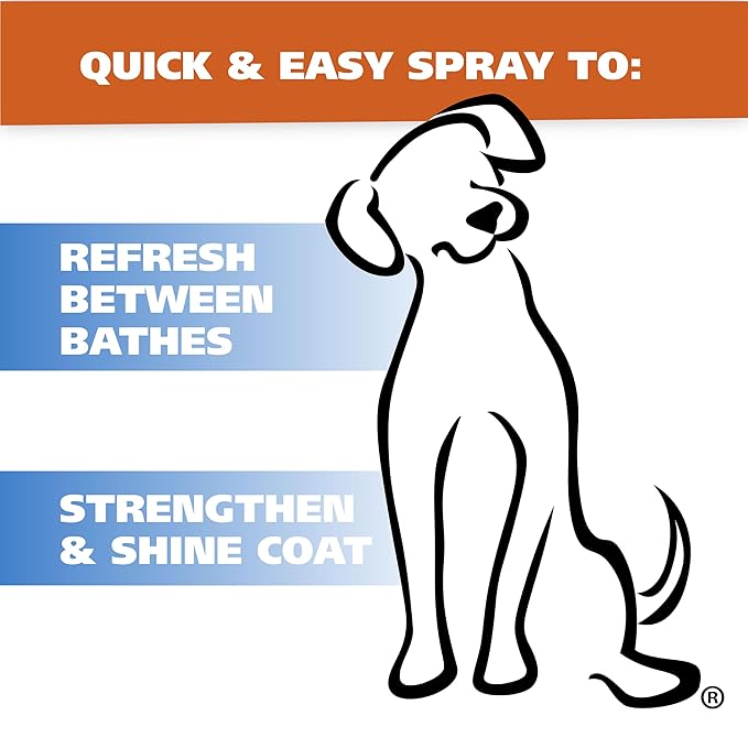 Wahl USA Deodorizing & Refreshing Pet Deodorant for Dogs - Eucalyptus & Spearmint Scent to Refresh the Skin and Coat - Model 820011A