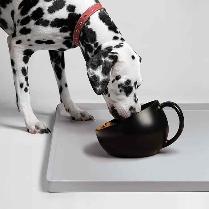 DogBuddy Dog Bowl, Bowls for Large Dogs, Non-Slip Pet Bowl, Dog Water Bowl, Food Bowls for Dogs (Standard, Black)
