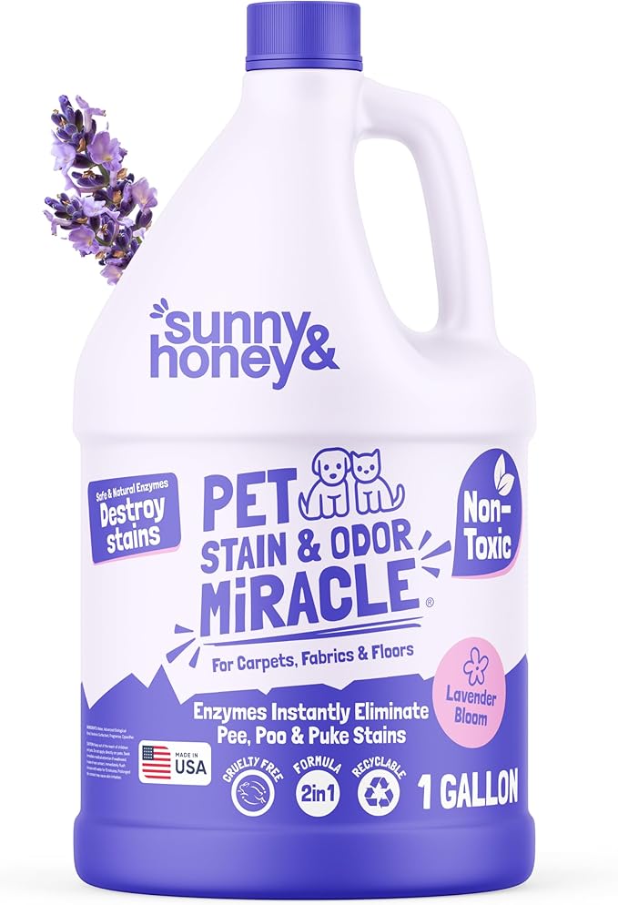 Sunny & Honey Pet Stain & Odor Miracle - 1 Gallon (128 Fl Oz), Light Lavender Scent - Carpet Cleaner - Enzyme Cleaner for Dog Urine & Cat Pee - Pet Stain Remover - Dog & Cat Urine Odor Eliminator