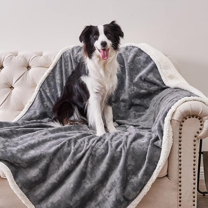 Qeils Waterproof Blanket for Bed Intimacy, Dog Blankets for Large Dogs, Waterproof Cat Blanket Washable, Soft Sherpa Fleece Puppy Blanket, Reversible Throw Protector for Couch Car, 50"X60", Dark Grey