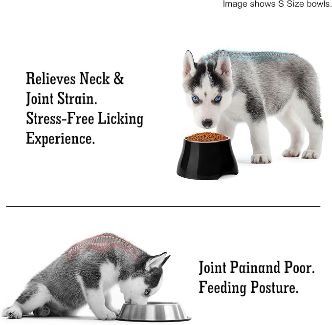 Dog Bowls,Cone Friendly Non Slip Single Dog Bowl with Stainless Steel Inner, Raised Bowls for Small Dogs Spaniel Dogs Long Ear, High Capacity, S/1 Cup Black