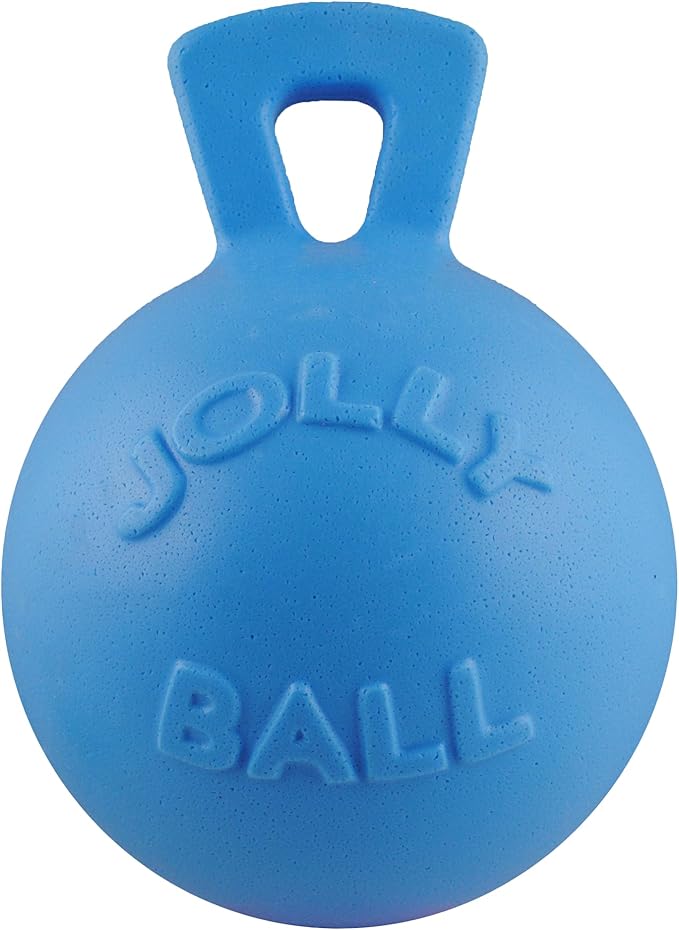 Jolly Pets Tug-n-Toss Heavy Duty Dog Toy Ball with Handle, 10 Inches/X-Large, Blueberry for All Breed Sizes