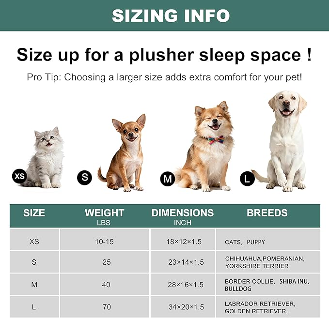 Dog Crate Pad, Ultra Soft & Anti-Slip Kennel Mat, Secure Fit for Metal Crates & Dog Cages, Washable Cozy Bed for Small Medium Large Dogs (Green, M(28"*16"*1.5"))