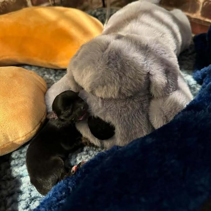 Original Snuggle Puppy Toys for Small Breeds - Heartbeat Puppy for Dogs - Pet Anxiety Relief and Calming Aid - Comfort Dog Toys for Behavioral Training. Heat Pack not Included