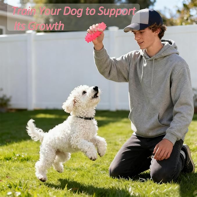 2 Pack Chew Toys for Puppies & Dogs, Dog Chew Toys to Keep Them Busy, Durable Puppy Teething Chew Toys, Tough Puppy Toothbrush Clean Teeth Interactive Toys for Small Medium Breed (Pink)
