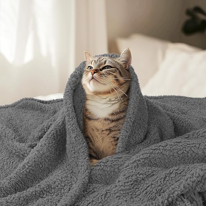 Luciphia Premium Fleece Dog Puppy Blanket Soft Pet Sherpa Calming Cat Blanket Throw for Small Medium Dog Cat(Grey,30x20 inches)