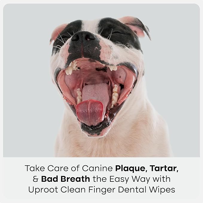 Uproot Clean Pet Dental Finger Wipes for Dogs & Cats (50ct.): Easy & Effective Cat and Dog Teeth Cleaning Wipes - Dog Dental Tissues for Plaque, Tartar, & Bad Breath - Safe, Rinse-Free, Disposable