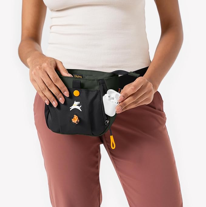 OllyDog Backcountry Day Bag | Hands-Free Dog Training Treat Pouch | Fanny/Hip Pack with Zipper Closure & Built-in Poop Bag Dispenser | Removable Waist Clip (Winter Moss)