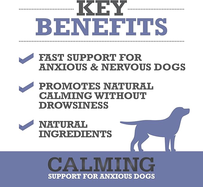 WINPRO Calming Chews for Dogs – Plasma-Powered for Dog Anxiety & Stress Relief– Fast-Acting Dog Calming Chews - Natural Ingredients, Grain-Free - Suitable for All Breeds & Sizes –60 Count Made in USA